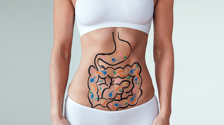 gut-health