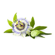 sastojci-3-pasiflora-pasiflora-incarnata