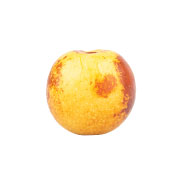 sastojci-4-obican-cicimak
